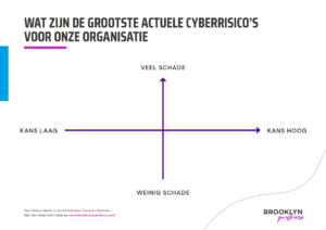 Brooklyn Partners Risico Matrix